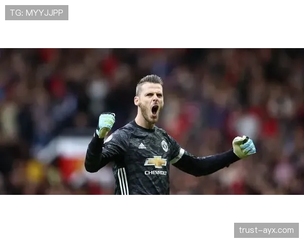 费耶防守数据亮眼，稳固防线成连胜关键，未来对手需提高警惕